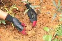 Gartenhandschuhe mit Krallen 