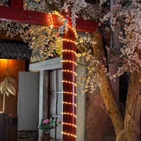 Lichterschläuche für den Garten 