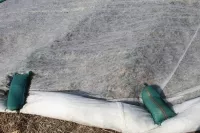 Pflanzenschutzvliese 