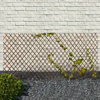 Rankgitter mit Sichtschutz 